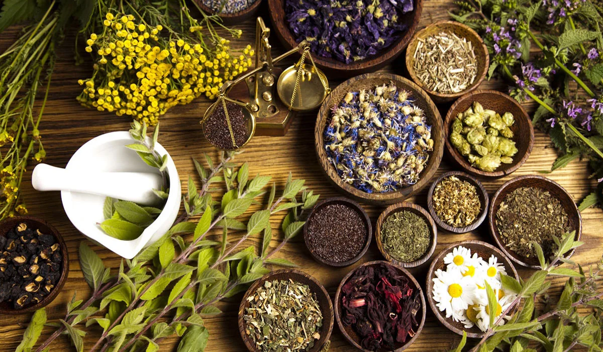 Herbal Medicines That Are Proven Effective in Treating Diseases