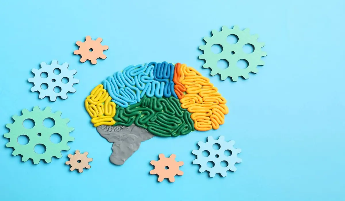 Mental and Cognitive Stimulation