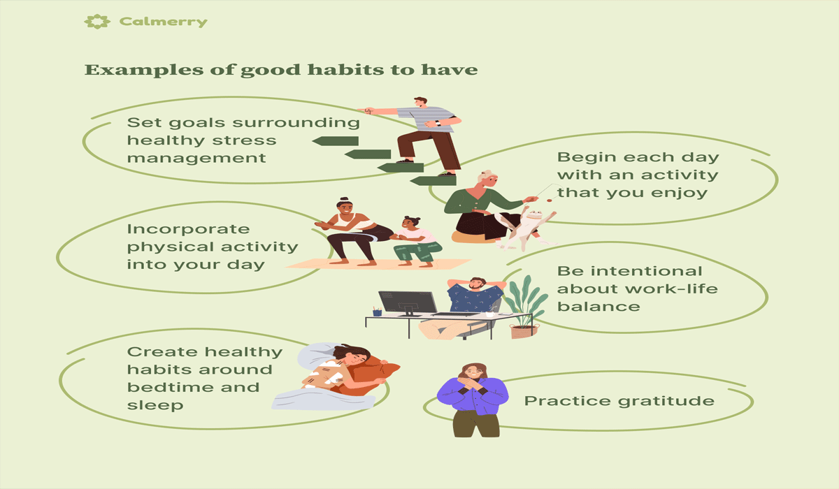 Building Everyday Habits for Better Health and Energy